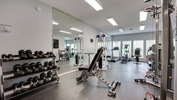 Gym with dumbbells